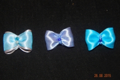 DSCN1450