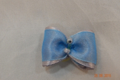 DSCN1463