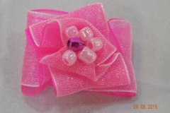 DSCN1465