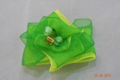 DSCN1470