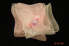 DSCN1476