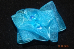 DSCN1478