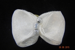 DSCN1490