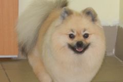 DSCN2083