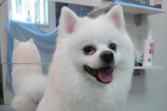 DSCN2139