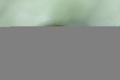 IMG_20210315_194734