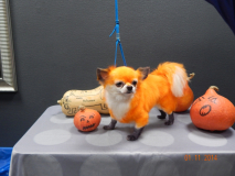DSCN0491