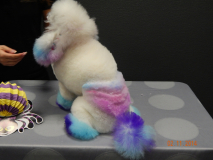 DSCN0566