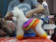 DSCN0579