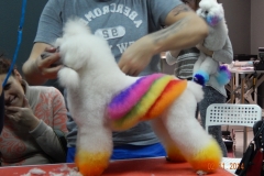 DSCN0579